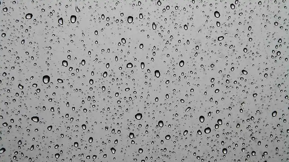 Water Droplets